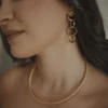 Brinco Argolas - Imagem 2